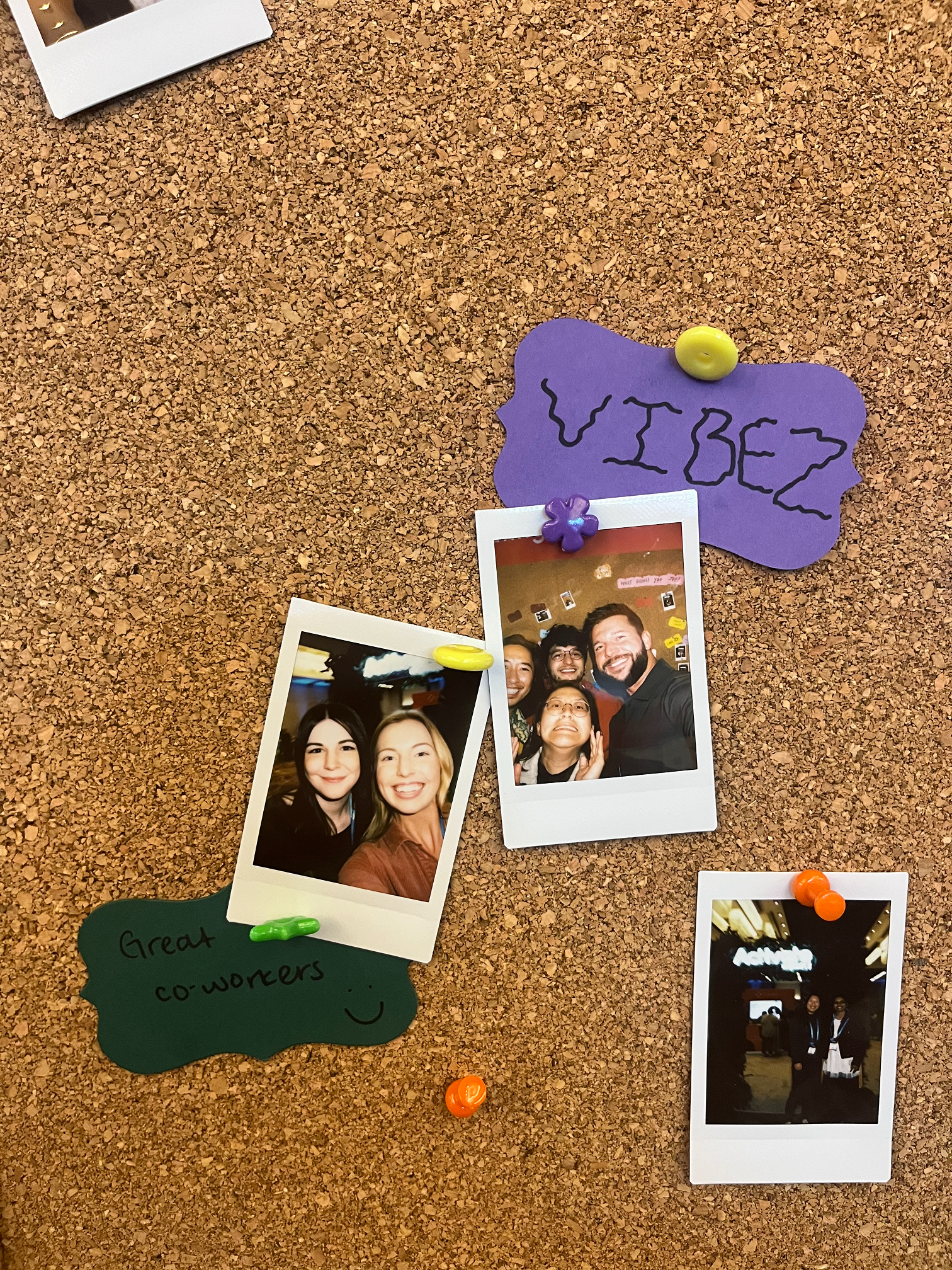 Team member portrait 5
